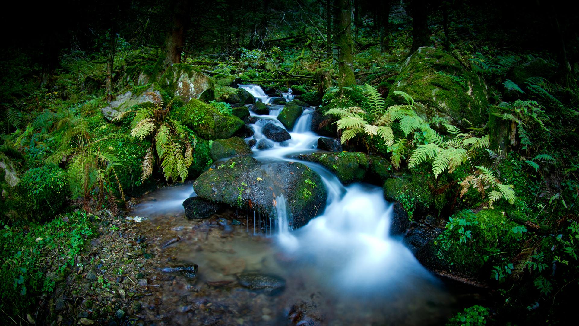 shutterstock_90091000_2
